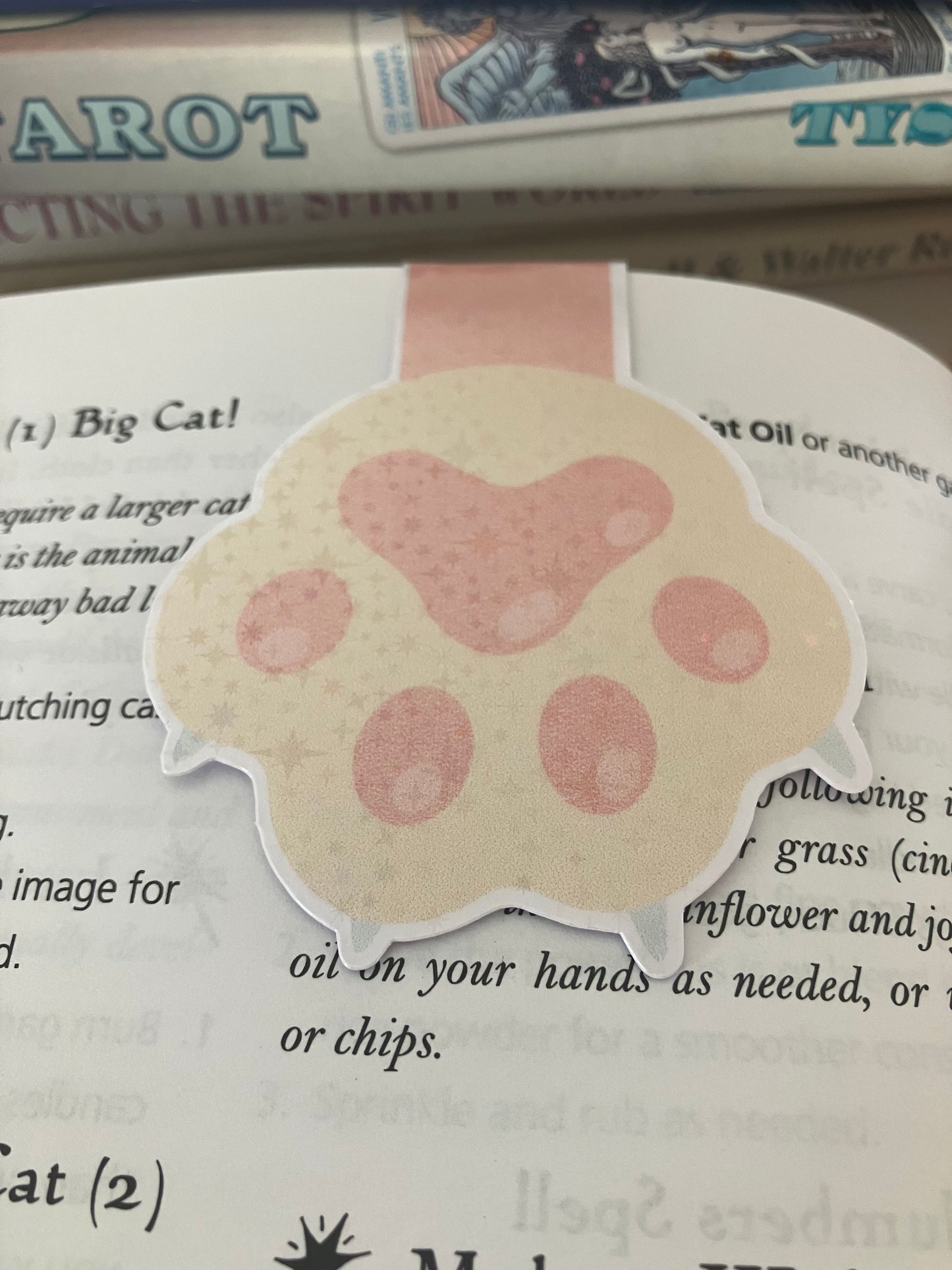 Magnetic Bookmarks