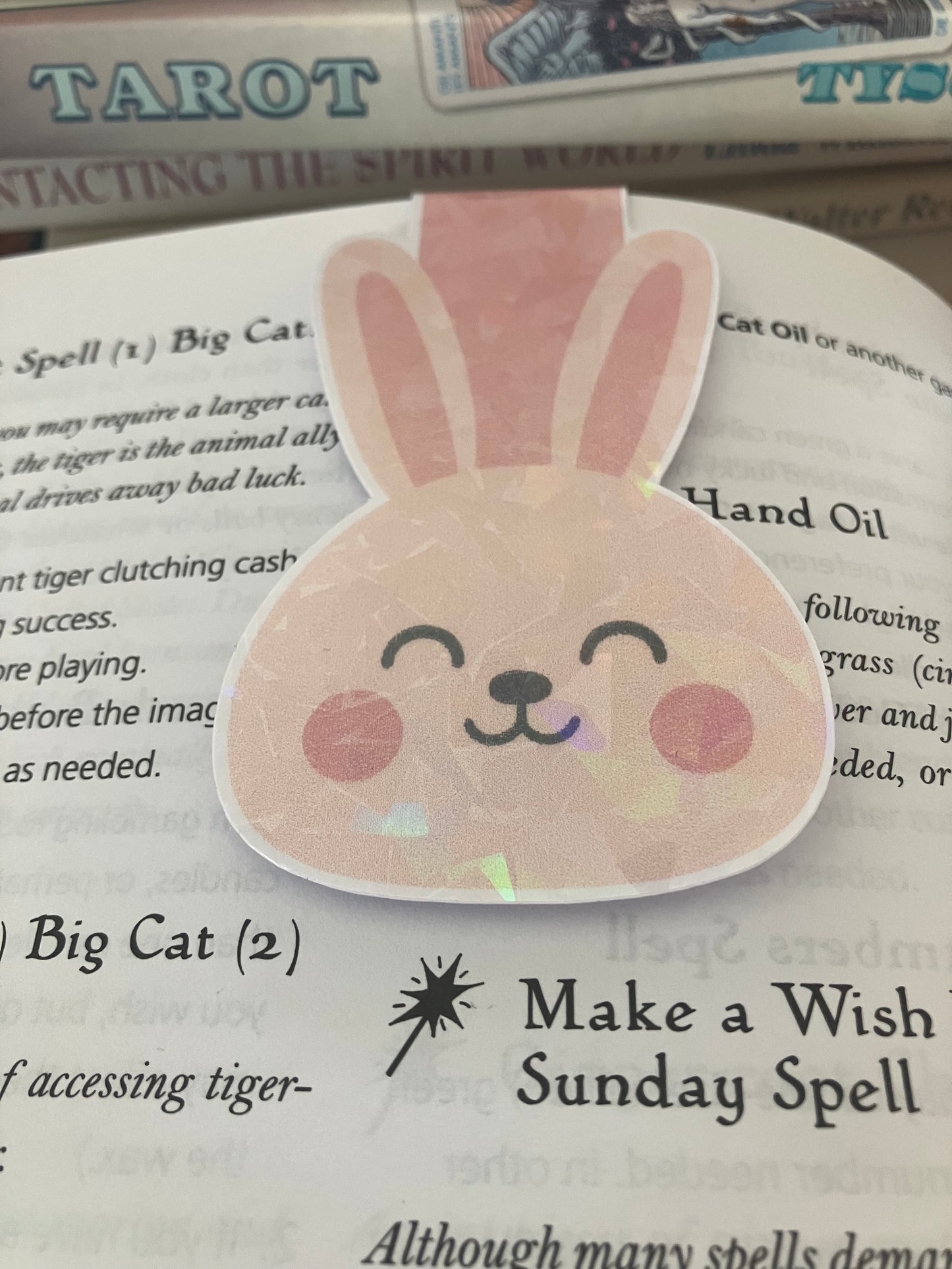 Magnetic Bookmarks