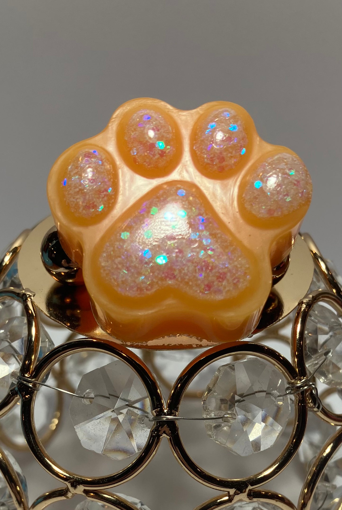 Memory Paws