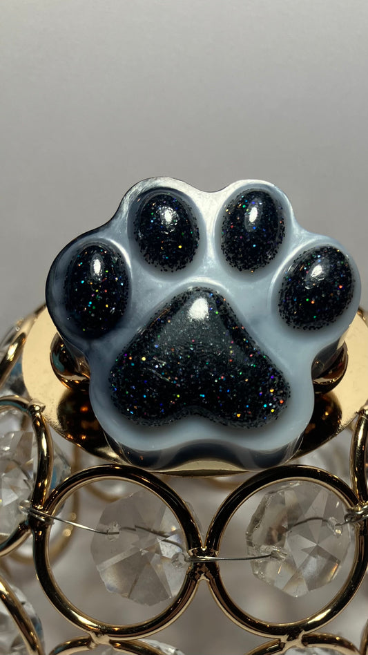 Memory Paws